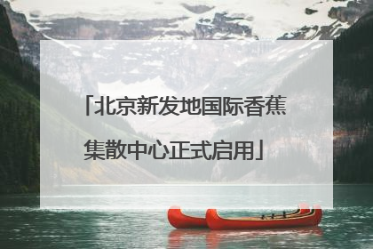 北京新发地国际香蕉集散中心正式启用