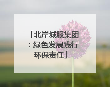 北岸城服集团：绿色发展践行环保责任