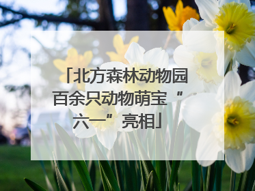 北方森林动物园百余只动物萌宝“六一”亮相