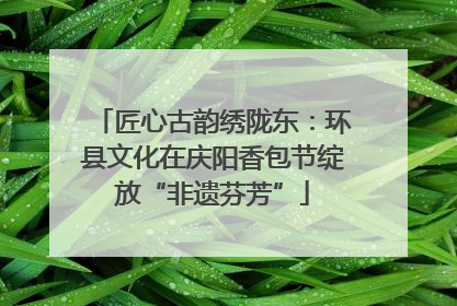 匠心古韵绣陇东：环县文化在庆阳香包节绽放“非遗芬芳”