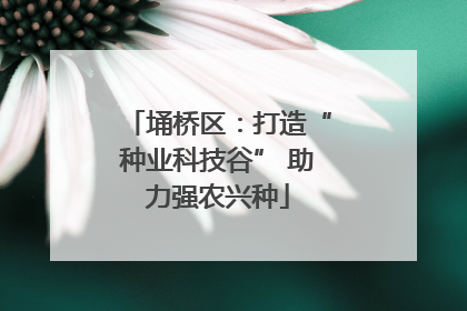 埇桥区：打造“种业科技谷” 助力强农兴种