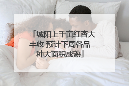 城阳上千亩红杏大丰收 预计下周各品种大面积成熟
