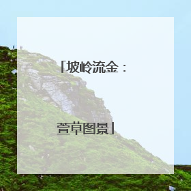 坡岭流金：萱草图景