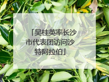 吴桂英率长沙市代表团访问沙特阿拉伯