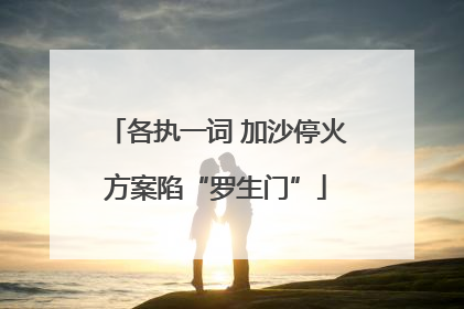 各执一词 加沙停火方案陷“罗生门”