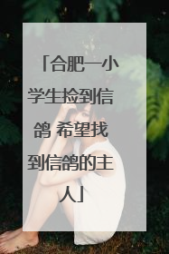 合肥一小学生捡到信鸽 希望找到信鸽的主人