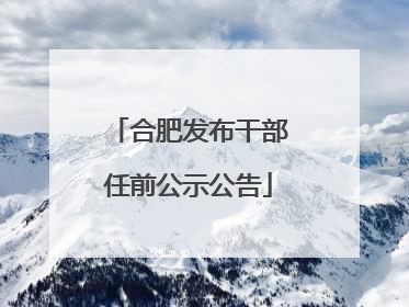 合肥发布干部任前公示公告