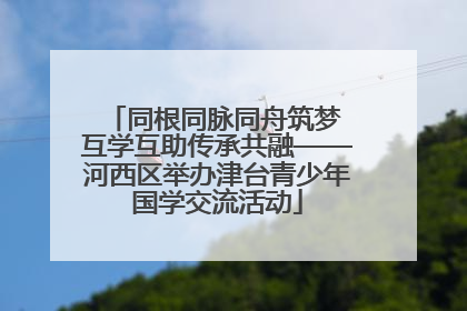 同根同脉同舟筑梦 互学互助传承共融——河西区举办津台青少年国学交流活动