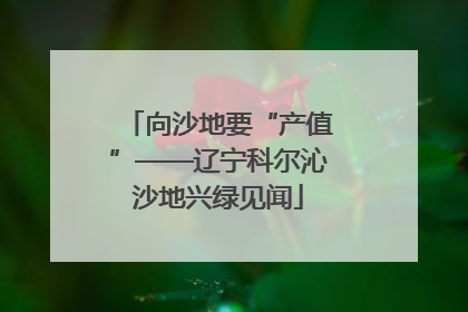 向沙地要“产值”——辽宁科尔沁沙地兴绿见闻