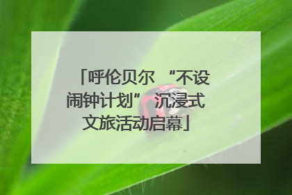 呼伦贝尔 “不设闹钟计划” 沉浸式文旅活动启幕