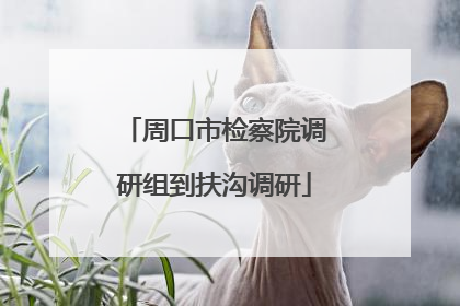周口市检察院调研组到扶沟调研