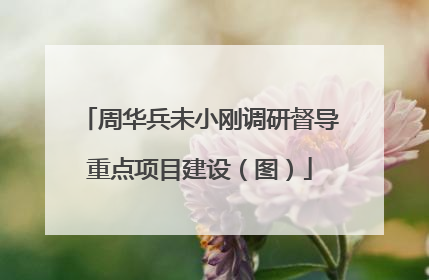 周华兵未小刚调研督导重点项目建设（图）