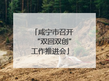 咸宁市召开“双回双创”工作推进会