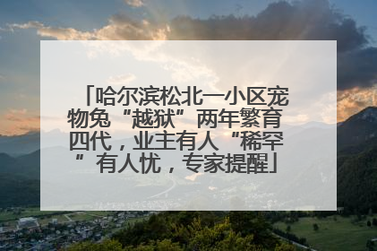 哈尔滨松北一小区宠物兔“越狱”两年繁育四代，业主有人“稀罕”有人忧，专家提醒