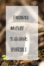 喀斯特峡谷群：生命演化的摇篮