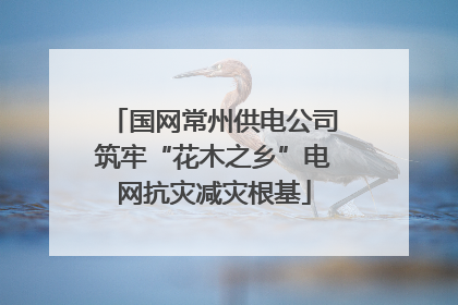 国网常州供电公司筑牢“花木之乡”电网抗灾减灾根基