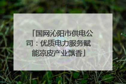 国网沁阳市供电公司：优质电力服务赋能凉皮产业飘香