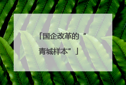 国企改革的“青城样本”