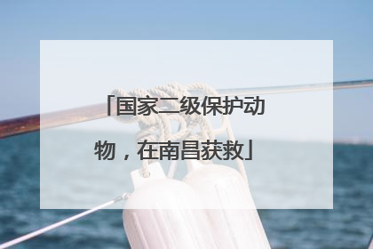 国家二级保护动物，在南昌获救