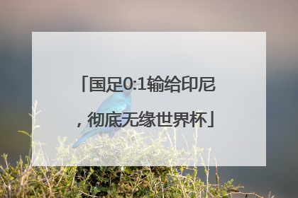 国足0:1输给印尼，彻底无缘世界杯