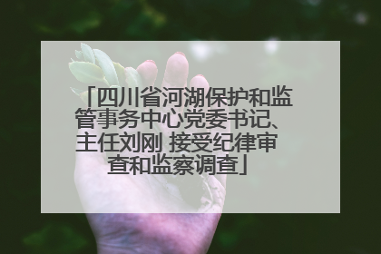 四川省河湖保护和监管事务中心党委书记、主任刘刚 接受纪律审查和监察调查