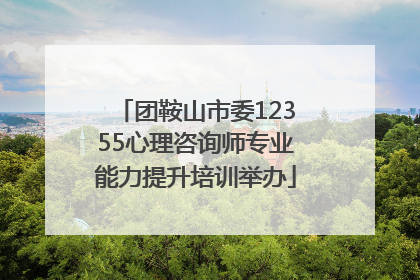 团鞍山市委12355心理咨询师专业能力提升培训举办