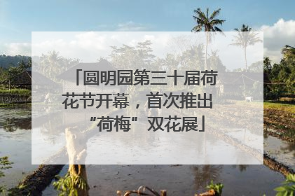 圆明园第三十届荷花节开幕，首次推出“荷梅”双花展