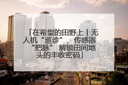 在希望的田野上丨无人机“巡诊”、传感器“把脉” 解锁田间地头的丰收密码