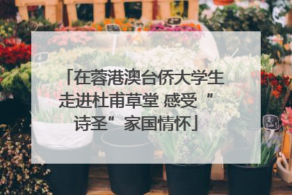 在蓉港澳台侨大学生走进杜甫草堂 感受“诗圣”家国情怀