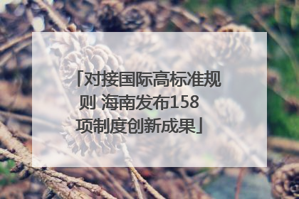 对接国际高标准规则 海南发布158项制度创新成果