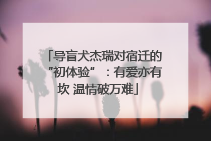 导盲犬杰瑞对宿迁的“初体验”：有爱亦有坎 温情破万难
