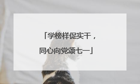 学榜样促实干，同心向党颂七一
