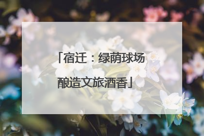 宿迁：绿荫球场酿造文旅酒香