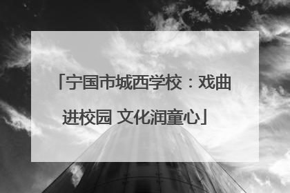 宁国市城西学校：戏曲进校园 文化润童心