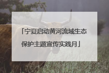 宁夏启动黄河流域生态保护主题宣传实践月