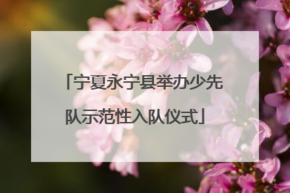 宁夏永宁县举办少先队示范性入队仪式