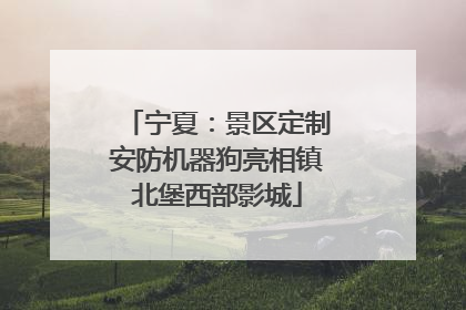 宁夏：景区定制安防机器狗亮相镇北堡西部影城