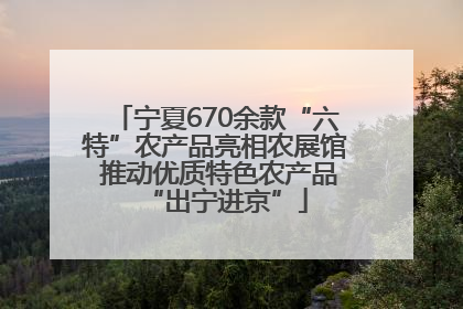 宁夏670余款“六特”农产品亮相农展馆 推动优质特色农产品“出宁进京”