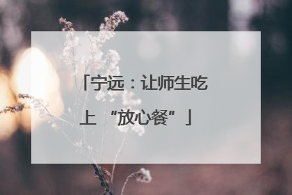 宁远：让师生吃上 “放心餐”