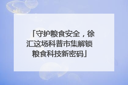 守护粮食安全，徐汇这场科普市集解锁粮食科技新密码