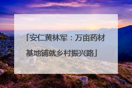 安仁黄林军：万亩药材基地铺就乡村振兴路