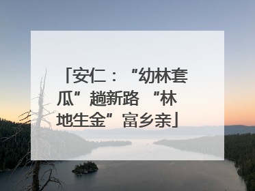 安仁：“幼林套瓜”趟新路 “林地生金”富乡亲