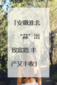 安徽淮北：“蒜”出致富路 丰产又丰收