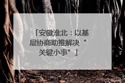 安徽淮北：以基层协商助推解决“关键小事”