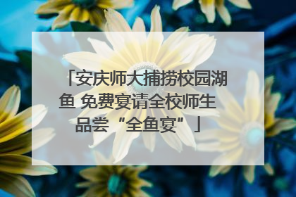 安庆师大捕捞校园湖鱼 免费宴请全校师生品尝“全鱼宴”