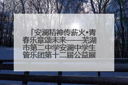 安澜精神传薪火•青春乐章颂未来——芜湖市第二中学安澜中学生管乐团第十二届公益展演圆满举行
