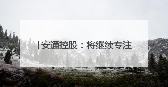 安通控股：将继续专注主业 增强业务优势
