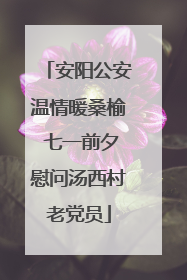 安阳公安温情暖桑榆 七一前夕慰问汤西村老党员