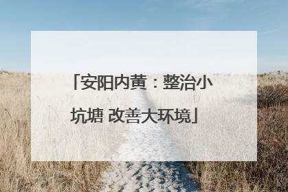 安阳内黄：整治小坑塘 改善大环境