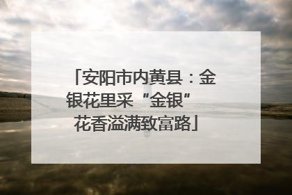 安阳市内黄县：金银花里采“金银” 花香溢满致富路